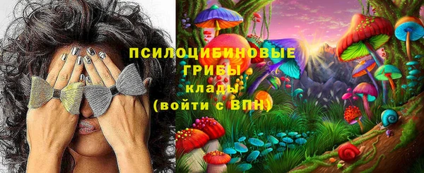 соль ск Волосово