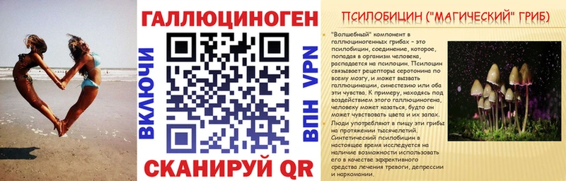 Галлюциногенные грибы MAGIC MUSHROOMS  Купить  Богородск 